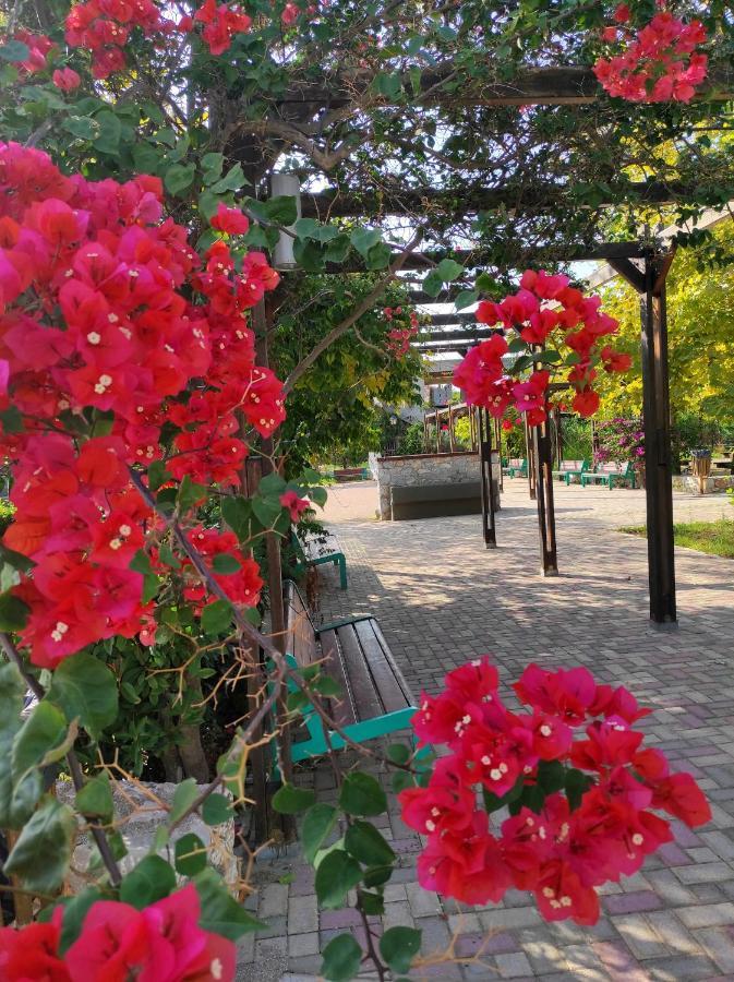 Agia  Villa Anthemida Chania מראה חיצוני תמונה