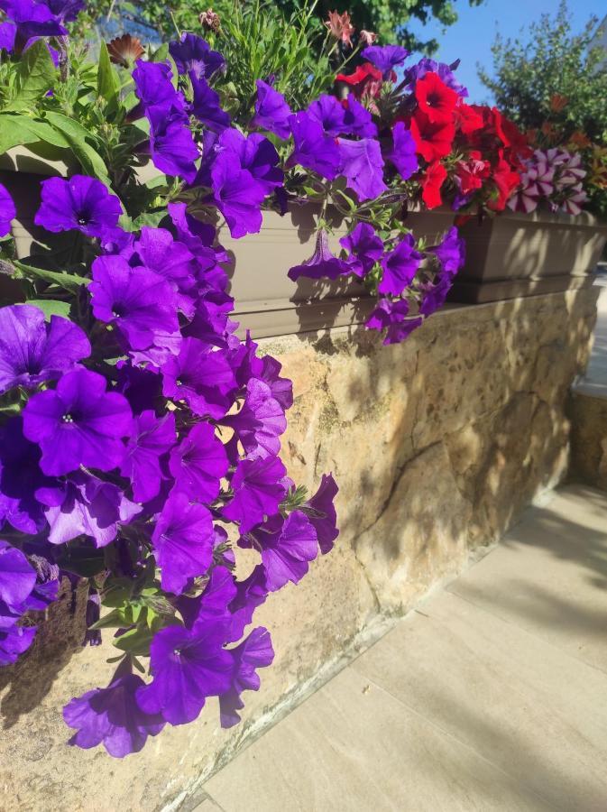 Agia  Villa Anthemida Chania מראה חיצוני תמונה