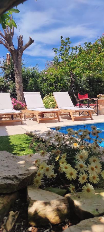 Agia  Villa Anthemida Chania מראה חיצוני תמונה
